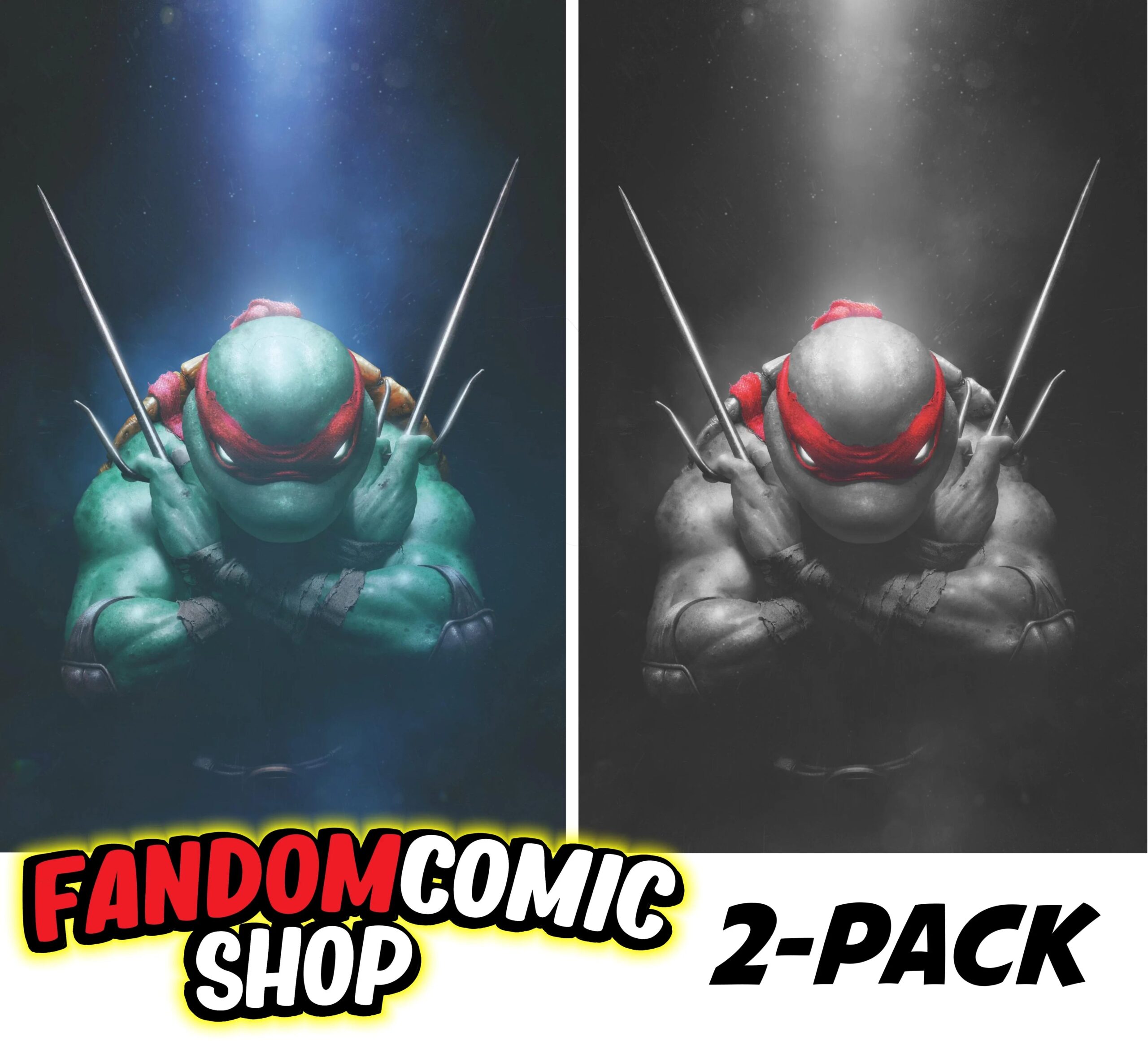 tmnt1rahzzahsetfandom